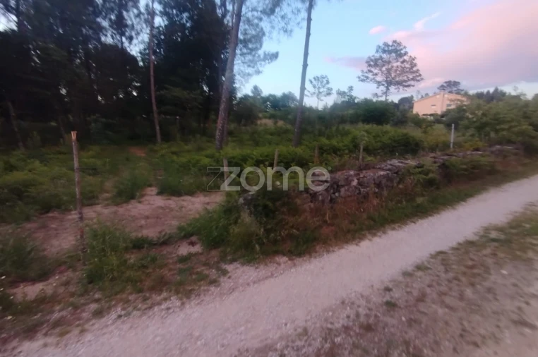 Terreno para Venda em Cunha Baixa Foto 17