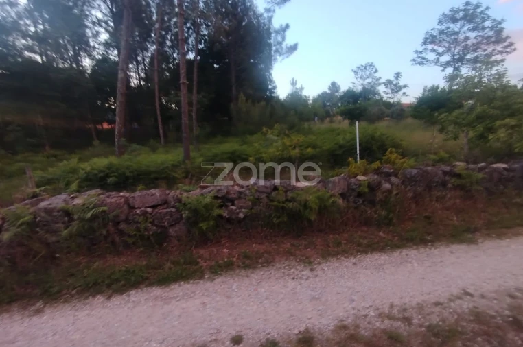 Terreno para Venda em Cunha Baixa Foto 19