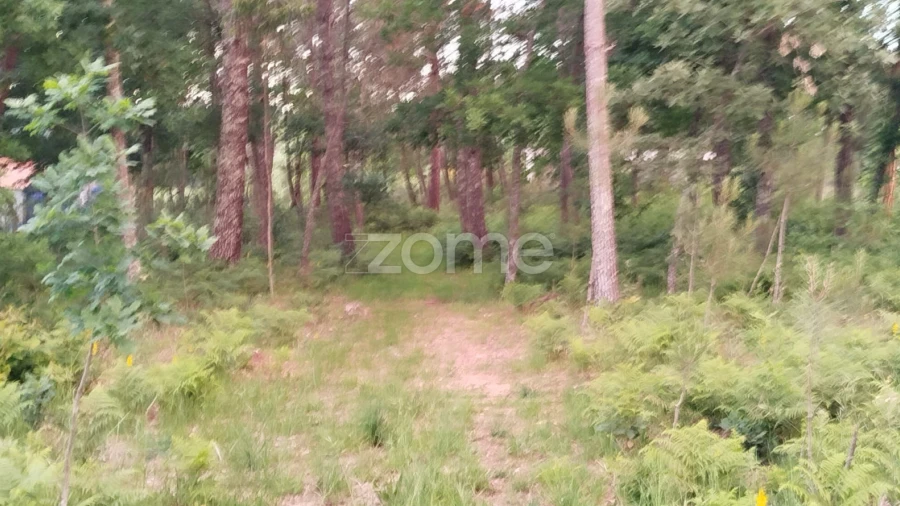 Terreno para Venda em Cunha Baixa