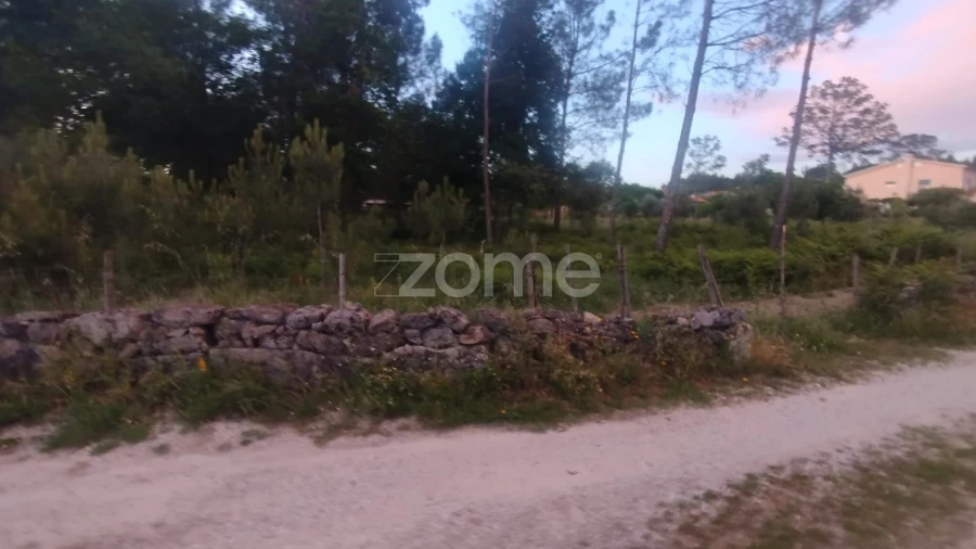 Terreno para Venda em Cunha Baixa