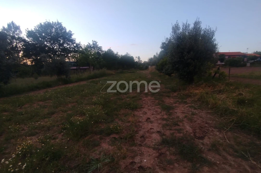 Terreno para Venda em Cunha Baixa Foto 17