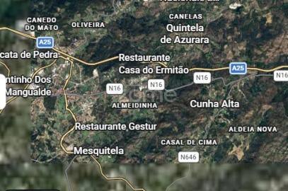 Terreno para Venda em Cunha Baixa