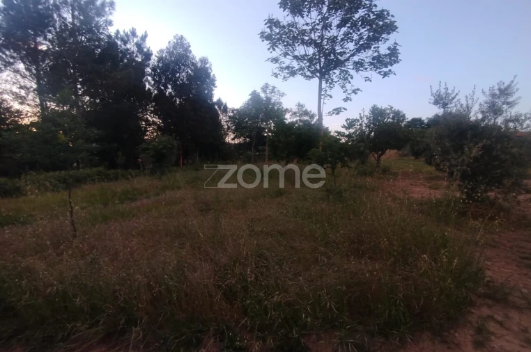 Terreno para Venda em Cunha Baixa Foto 12