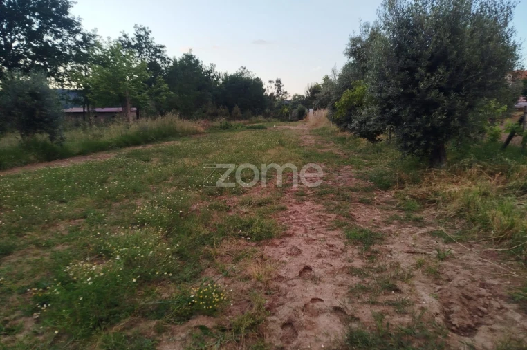 Terreno para Venda em Cunha Baixa Foto 15