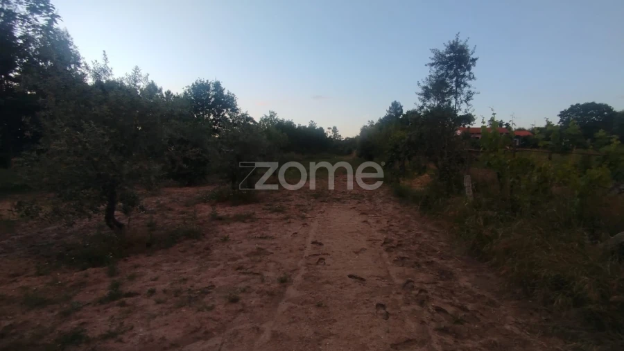 Terreno para Venda em Cunha Baixa