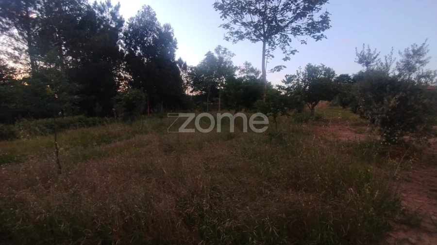 Terreno para Venda em Cunha Baixa