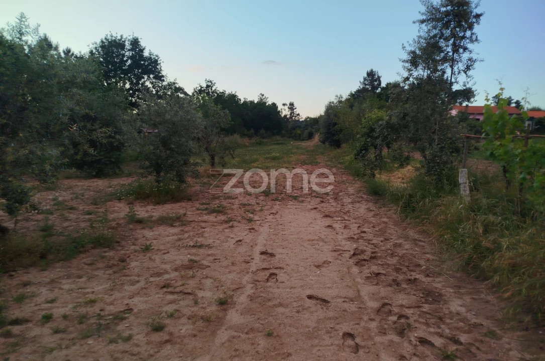 Terreno para Venda em Cunha Baixa Foto 3