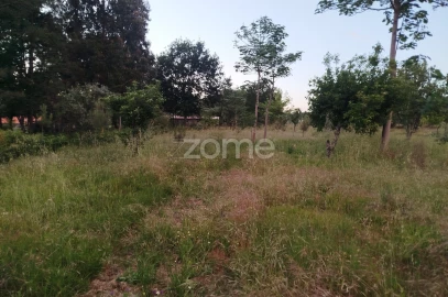 Terreno para Venda em Cunha Baixa