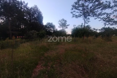 Terreno para Venda em Cunha Baixa