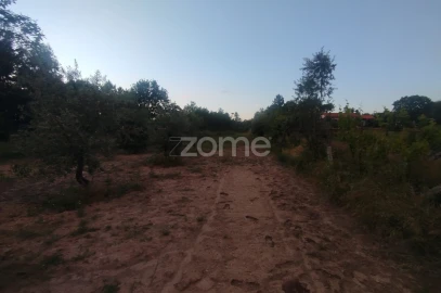 Terreno para Venda em Cunha Baixa