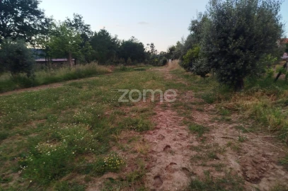 Terreno para Venda em Cunha Baixa