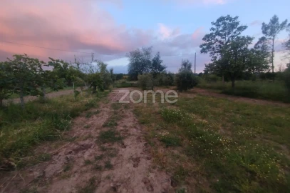 Terreno para Venda em Cunha Baixa