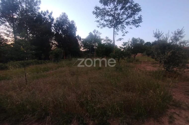 Terreno para Venda em Cunha Baixa Foto 17