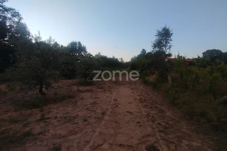 Terreno para Venda em Cunha Baixa Foto 2