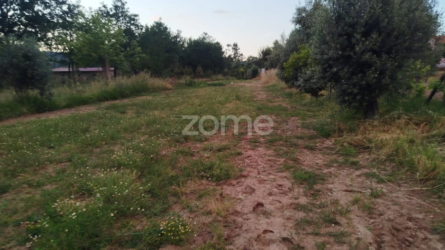 Terreno para Venda em Cunha Baixa