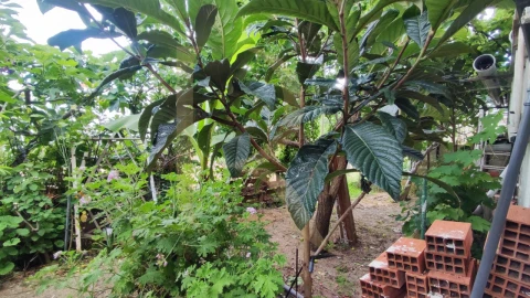 Moradia T3 para Venda em Laranjeiro e Feijó