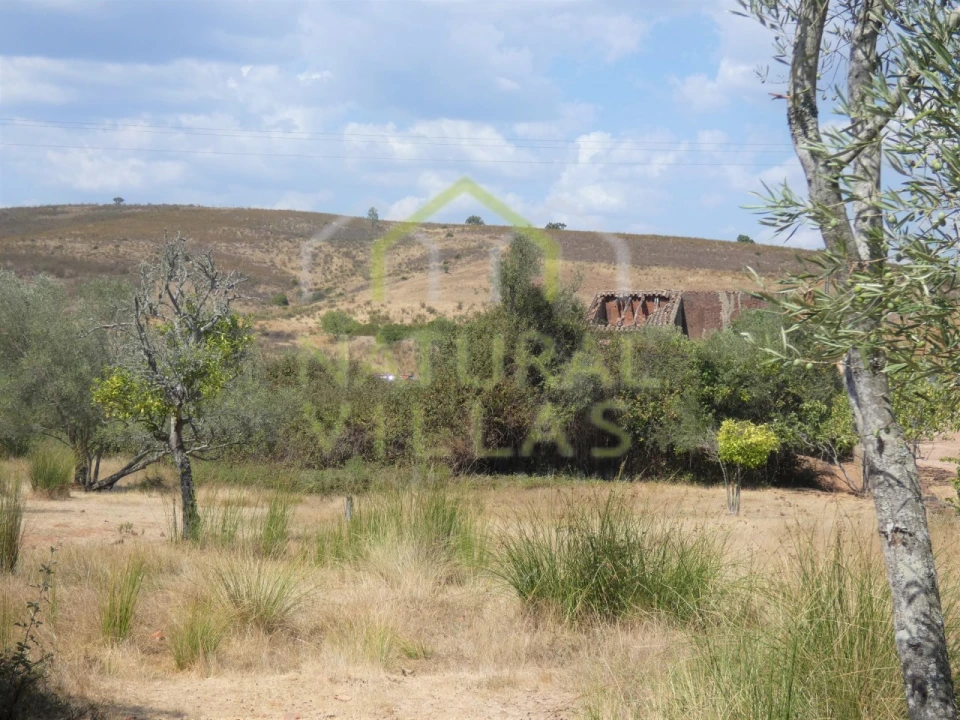 Terreno para Venda em São Bartolomeu de Messines Foto 2