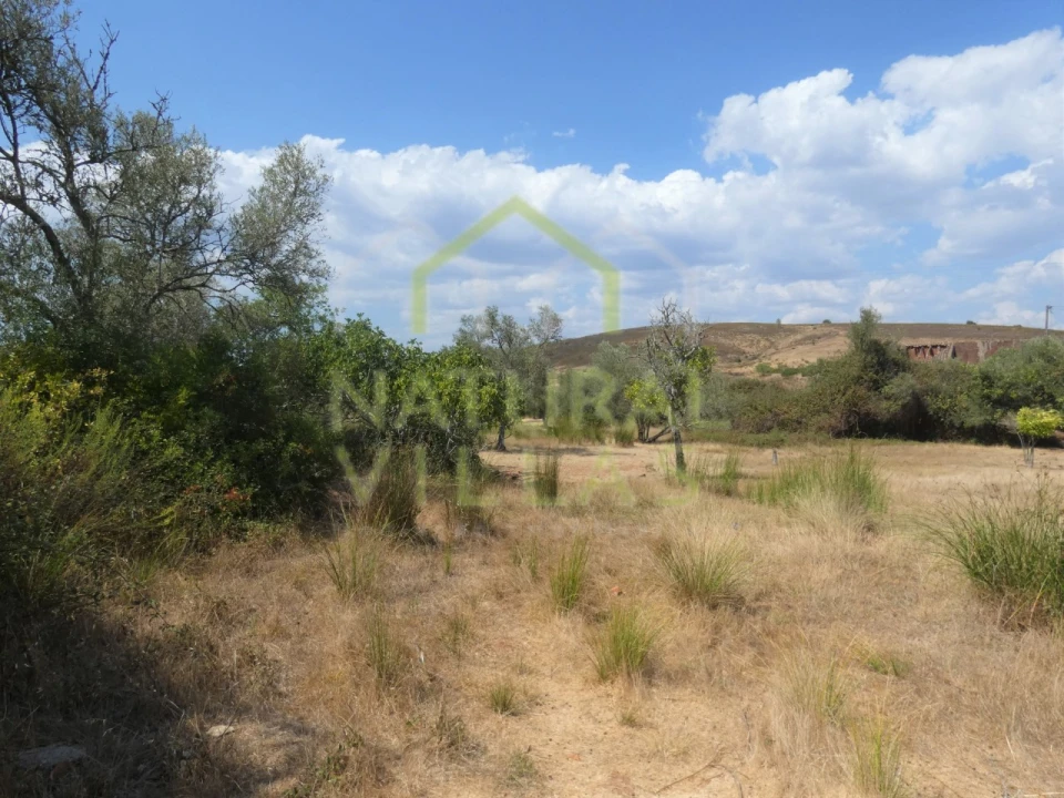 Terreno para Venda em São Bartolomeu de Messines Foto 4
