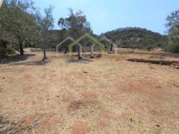 Terreno para Venda em São Bartolomeu de Messines
