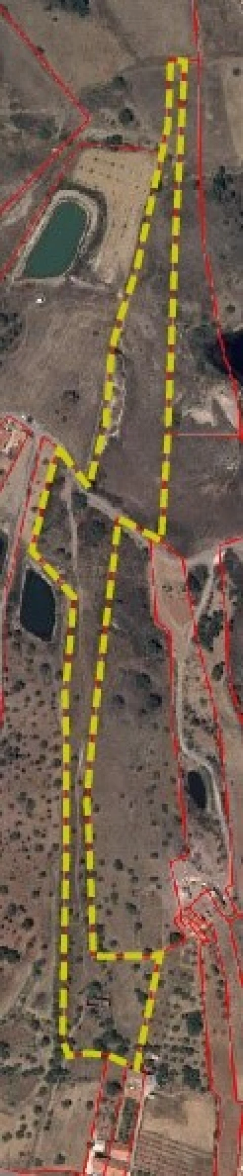Terreno Misto para Venda em São Bartolomeu de Messines