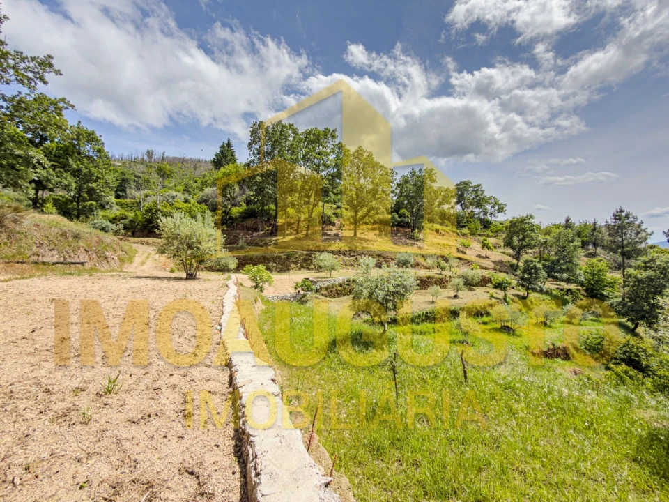 Moradia T3 para Venda em Famalicão Foto 6