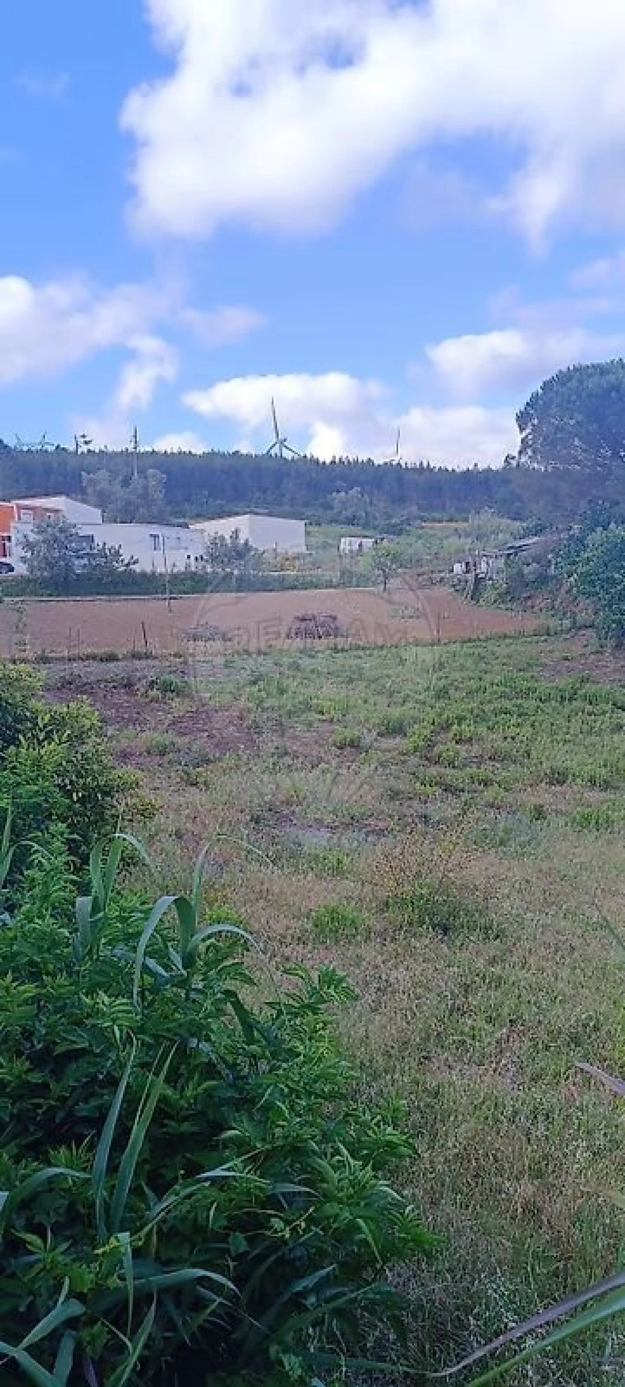 Terreno para Venda em Carvoeira e Carmões Foto 7