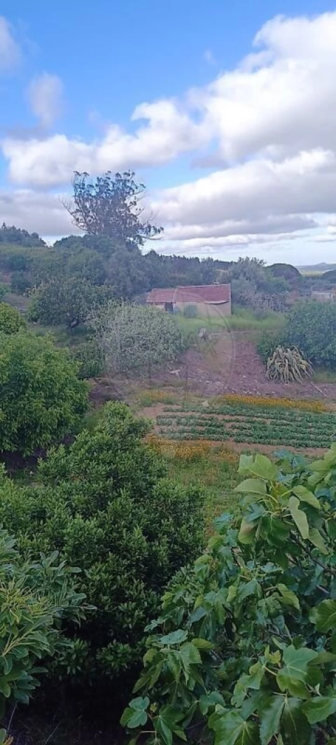 Terreno para Venda em Carvoeira e Carmões