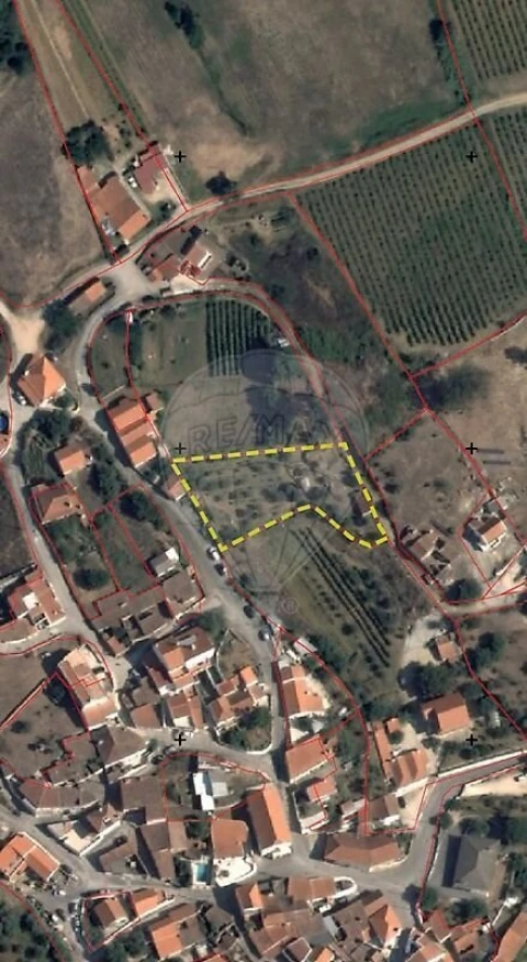 Terreno para Venda em Carvoeira e Carmões