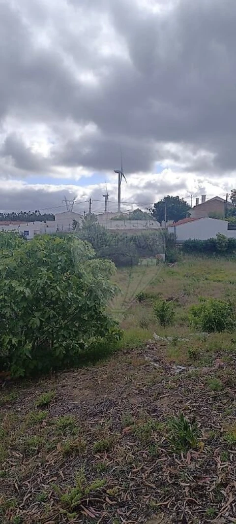 Terreno para Venda em Carvoeira e Carmões