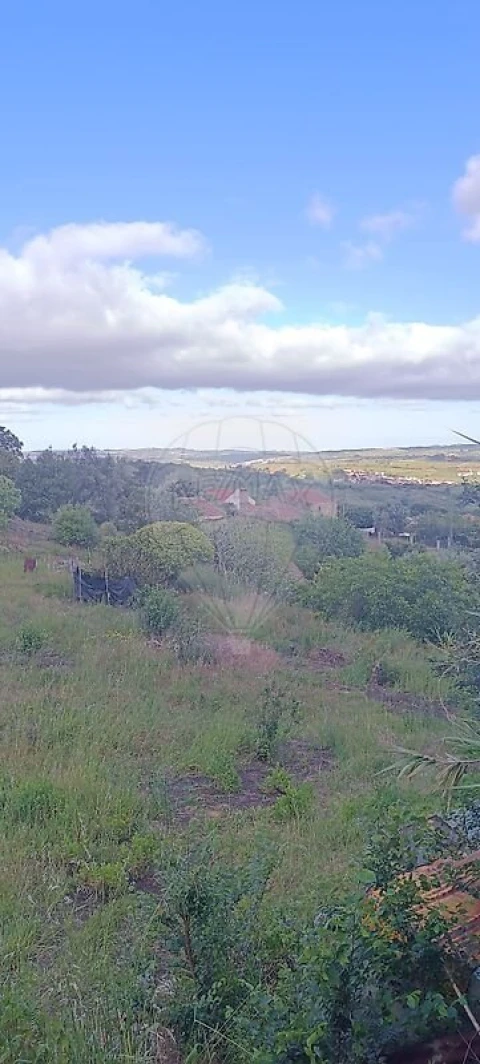 Terreno para Venda em Carvoeira e Carmões