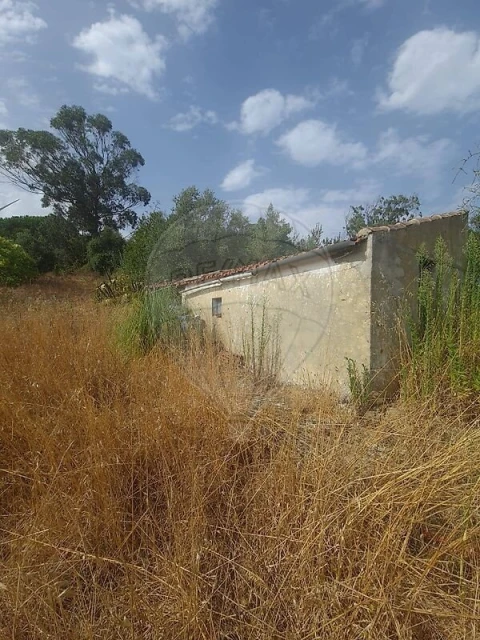 Terreno para Venda em Carvoeira e Carmões