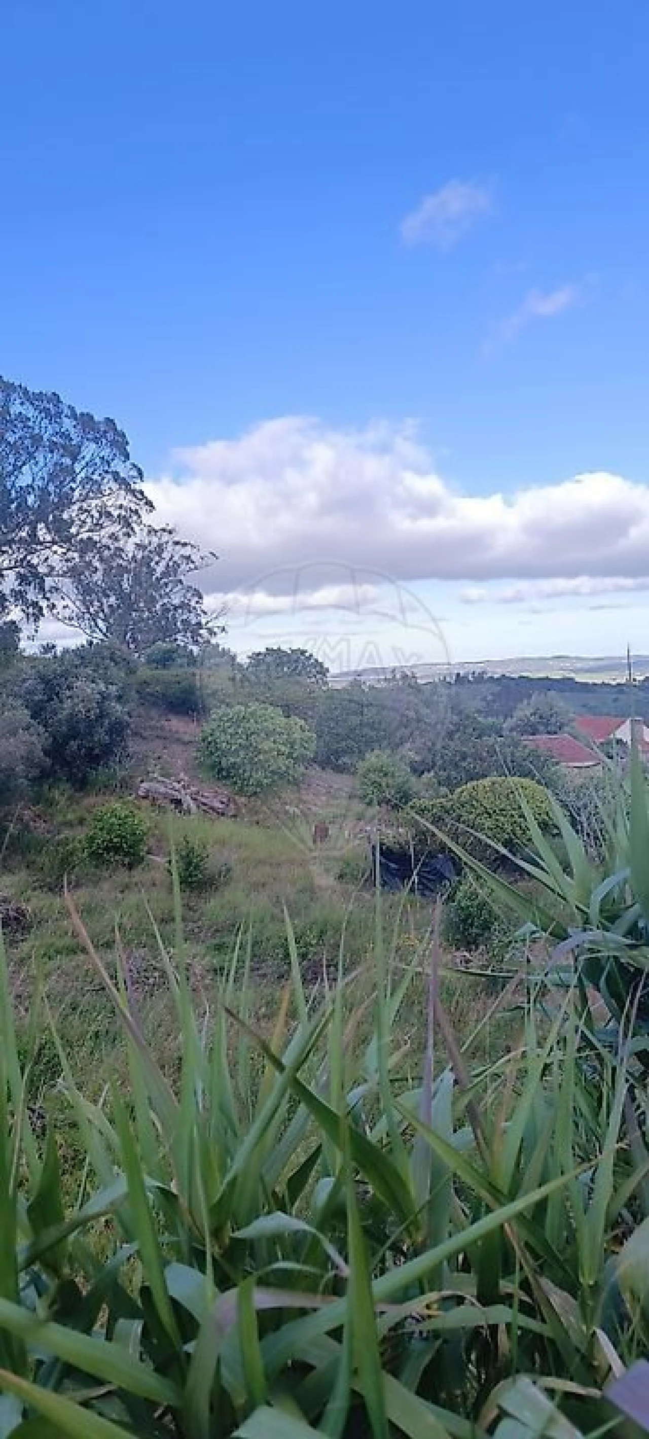 Terreno para Venda em Carvoeira e Carmões Foto 8