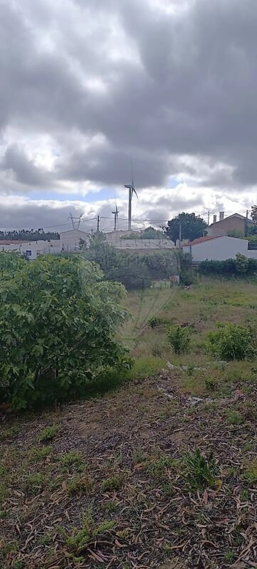 Terreno para Venda em Carvoeira e Carmões Foto 10