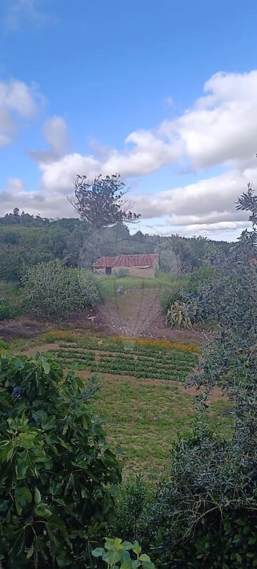Terreno para Venda em Carvoeira e Carmões Foto 2