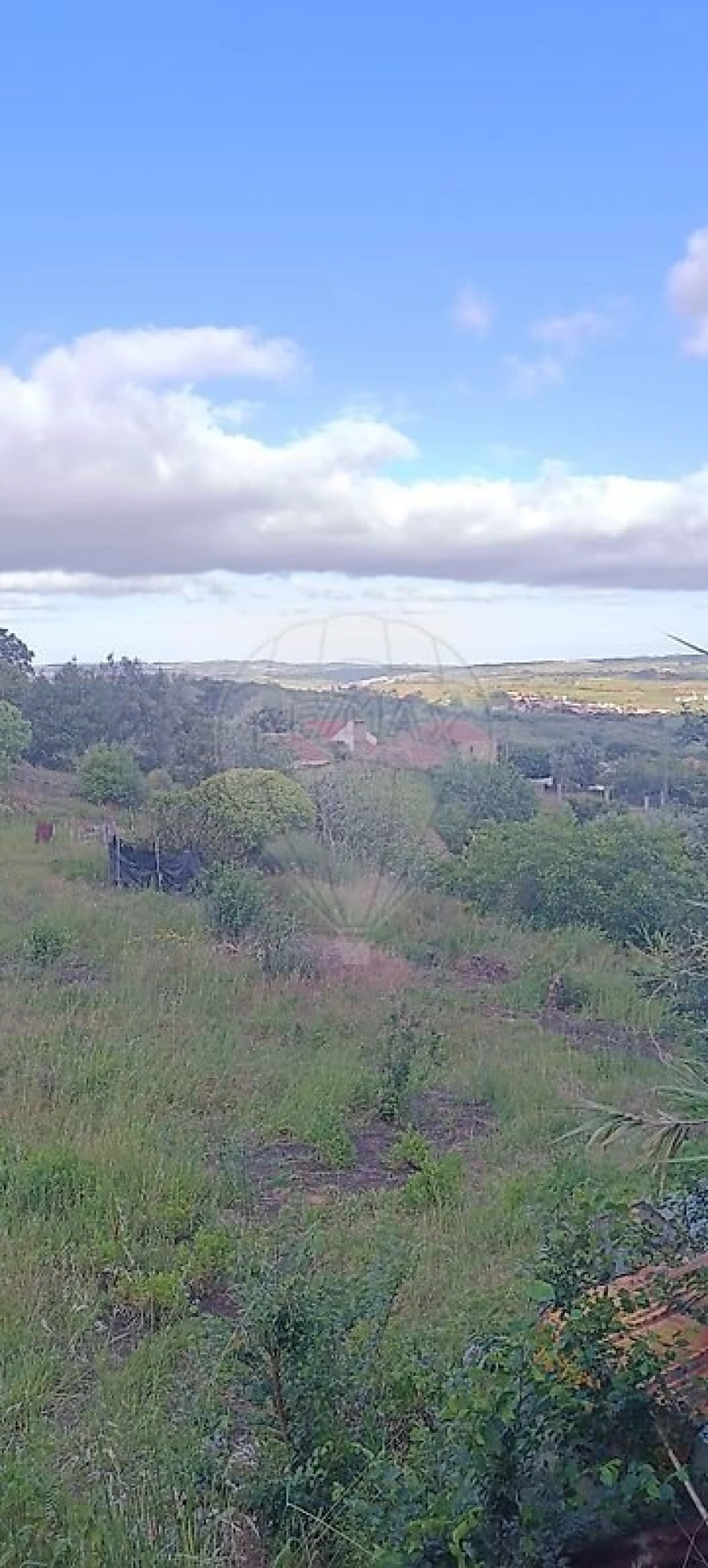 Terreno para Venda em Carvoeira e Carmões Foto 5