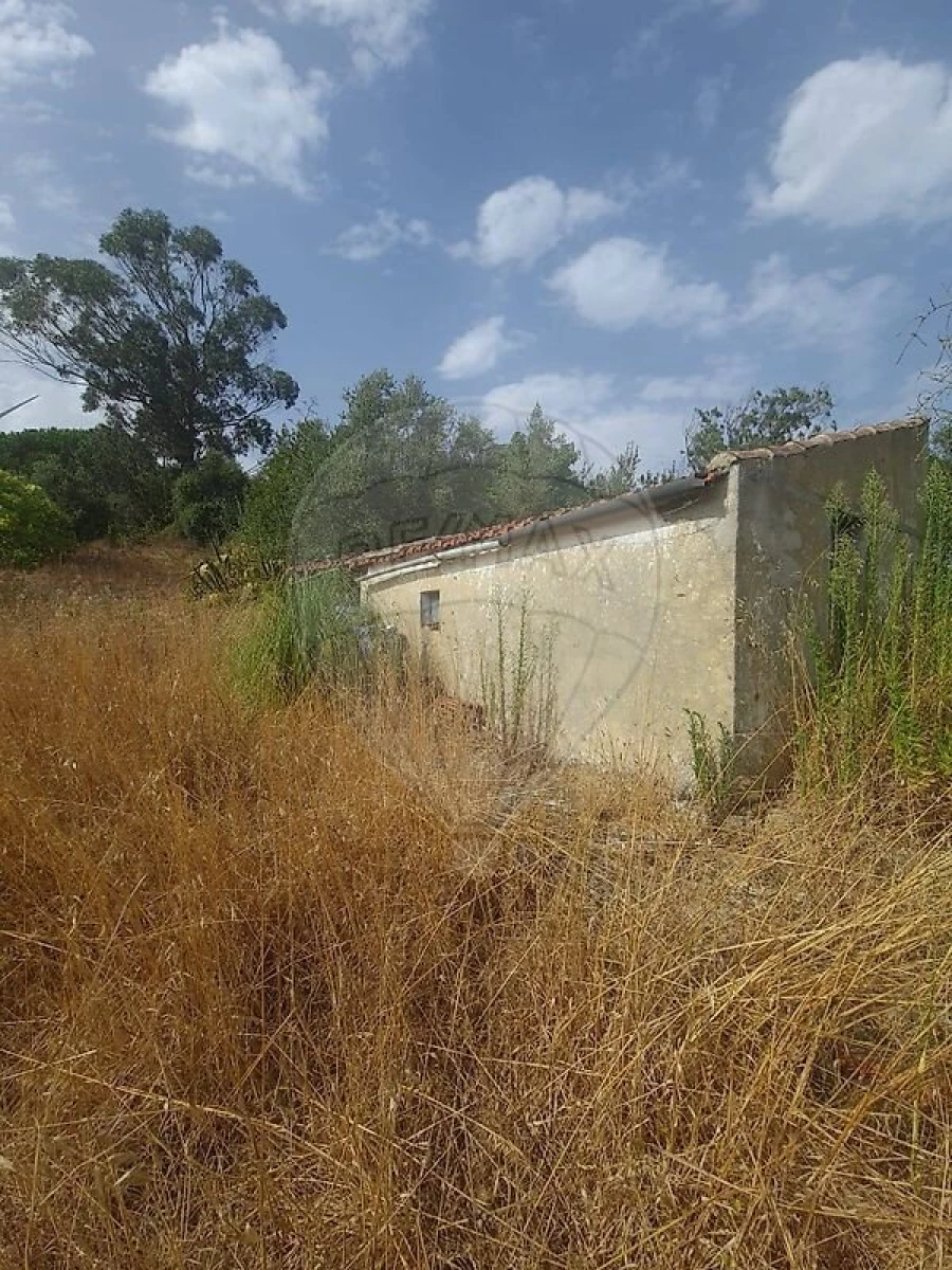 Terreno para Venda em Carvoeira e Carmões Foto 3