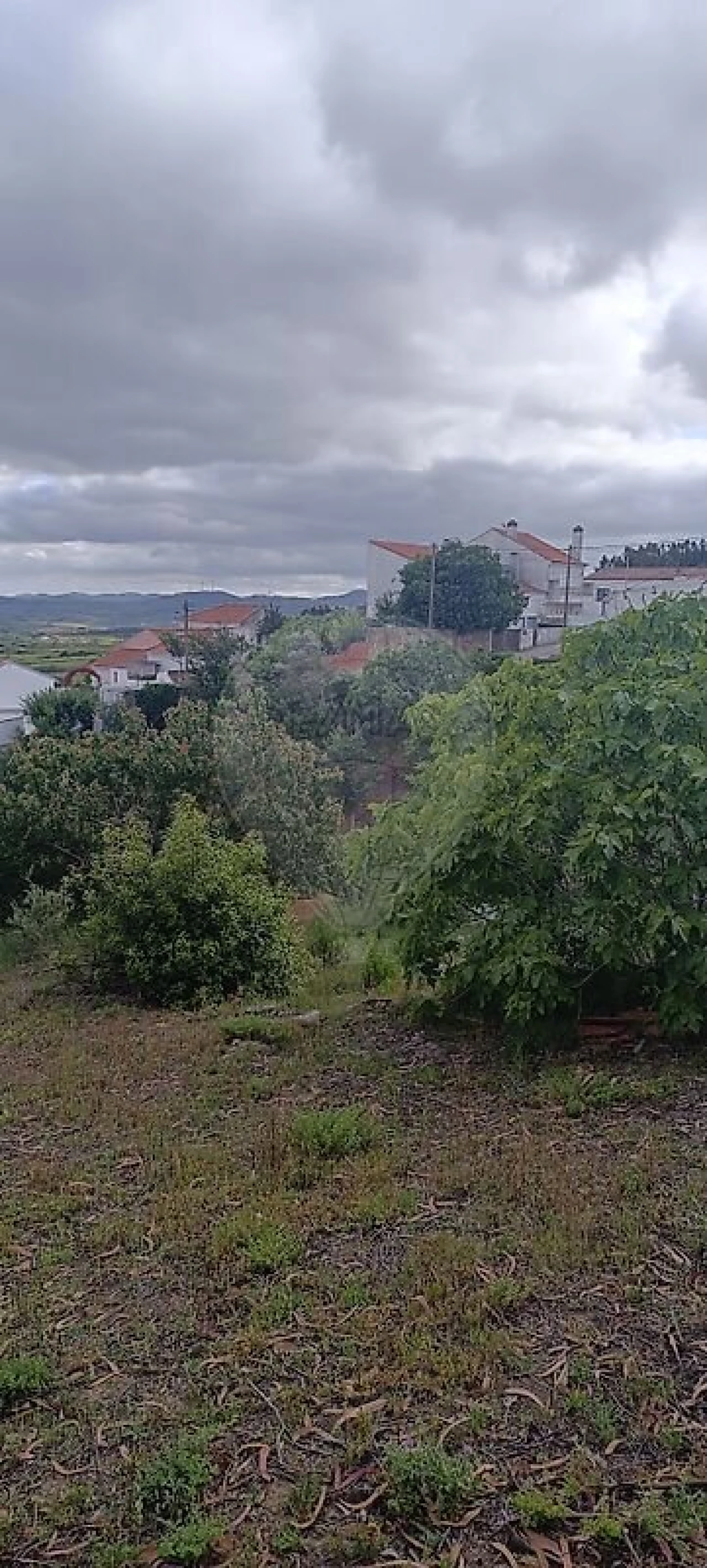 Terreno para Venda em Carvoeira e Carmões Foto 13