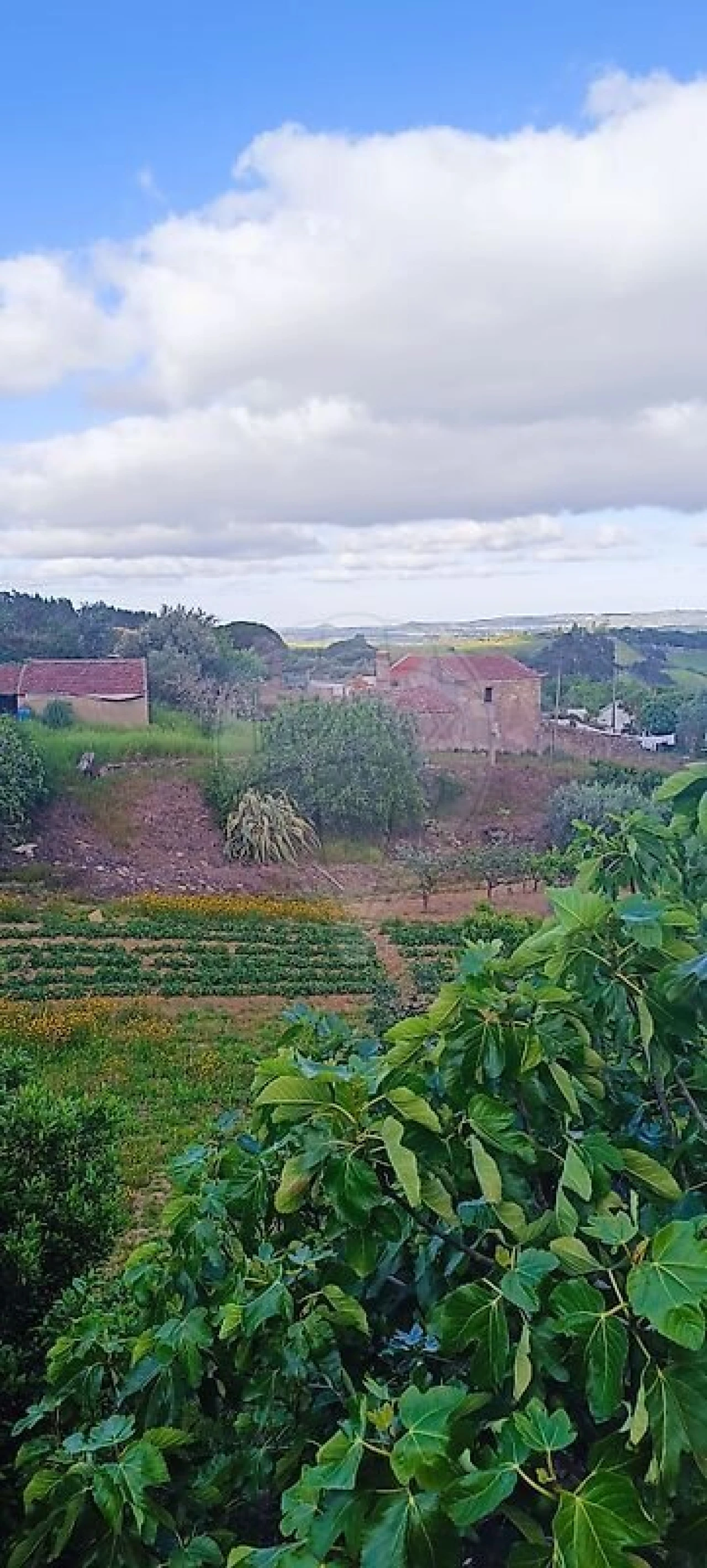 Terreno para Venda em Carvoeira e Carmões Foto 3