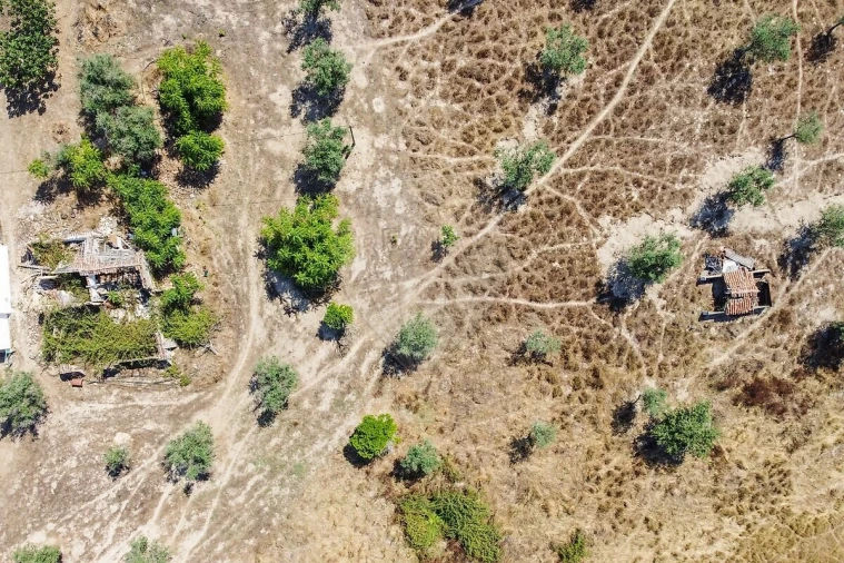 Moradia T5 para Venda em Cortiçadas de Lavre e Lavre Foto 4