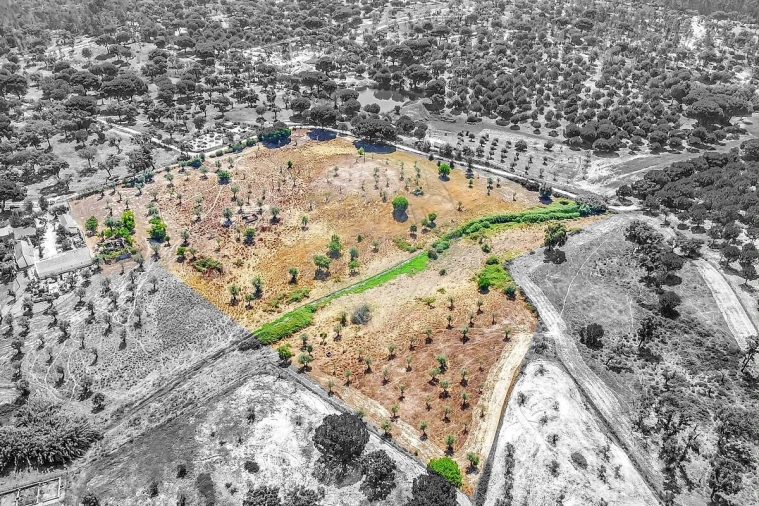 Moradia T5 para Venda em Cortiçadas de Lavre e Lavre Foto 2