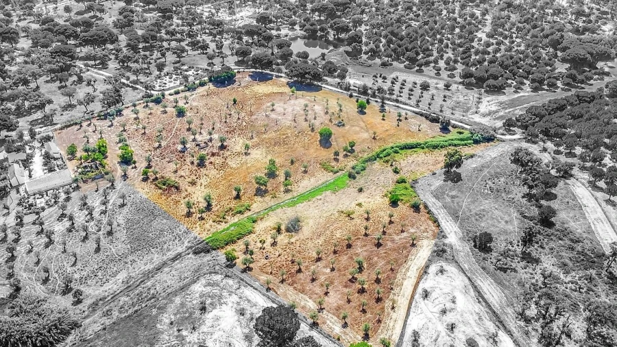 Moradia T5 para Venda em Cortiçadas de Lavre e Lavre