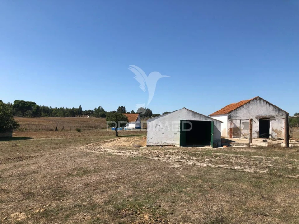 Terreno para Venda em Grândola e Santa Margarida da Serra Foto 13