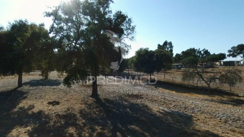 Terreno para Venda em Grândola e Santa Margarida da Serra