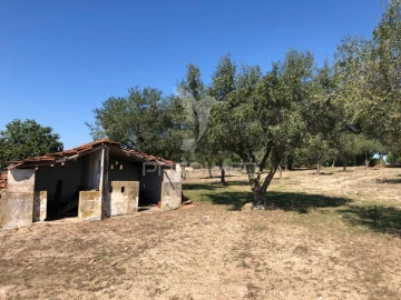 Terreno para Venda em Grândola e Santa Margarida da Serra