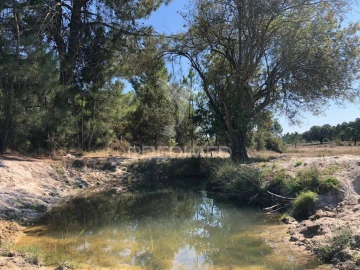 Terreno para Venda em Grândola e Santa Margarida da Serra