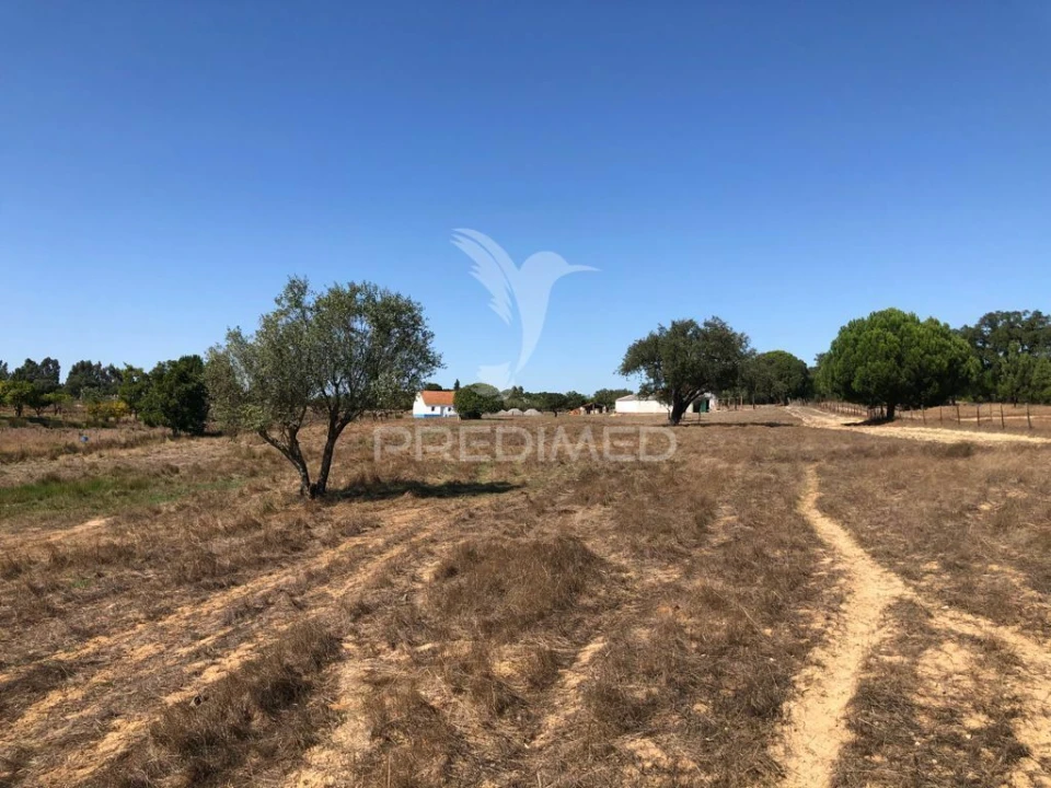 Terreno para Venda em Grândola e Santa Margarida da Serra Foto 11