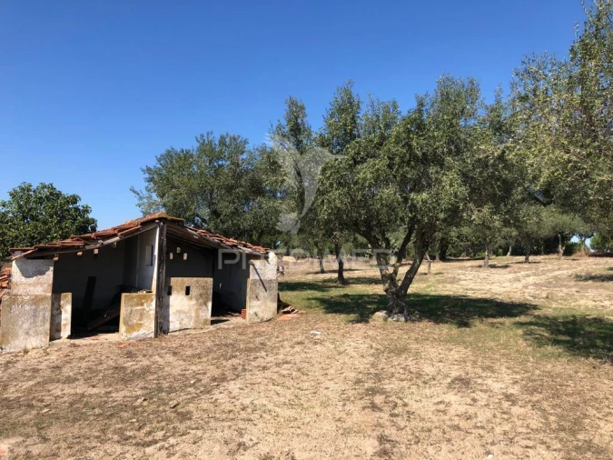 Terreno para Venda em Grândola e Santa Margarida da Serra Foto 15