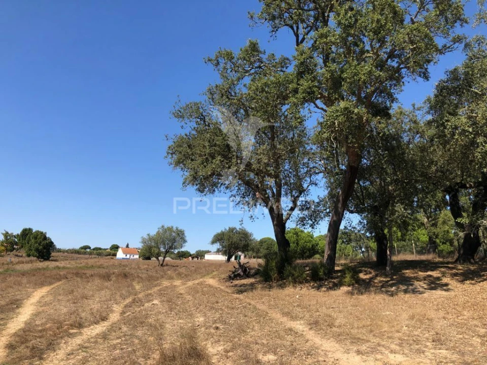 Terreno para Venda em Grândola e Santa Margarida da Serra Foto 10