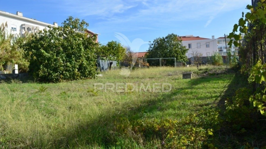 Terreno para Venda em Ajuda
