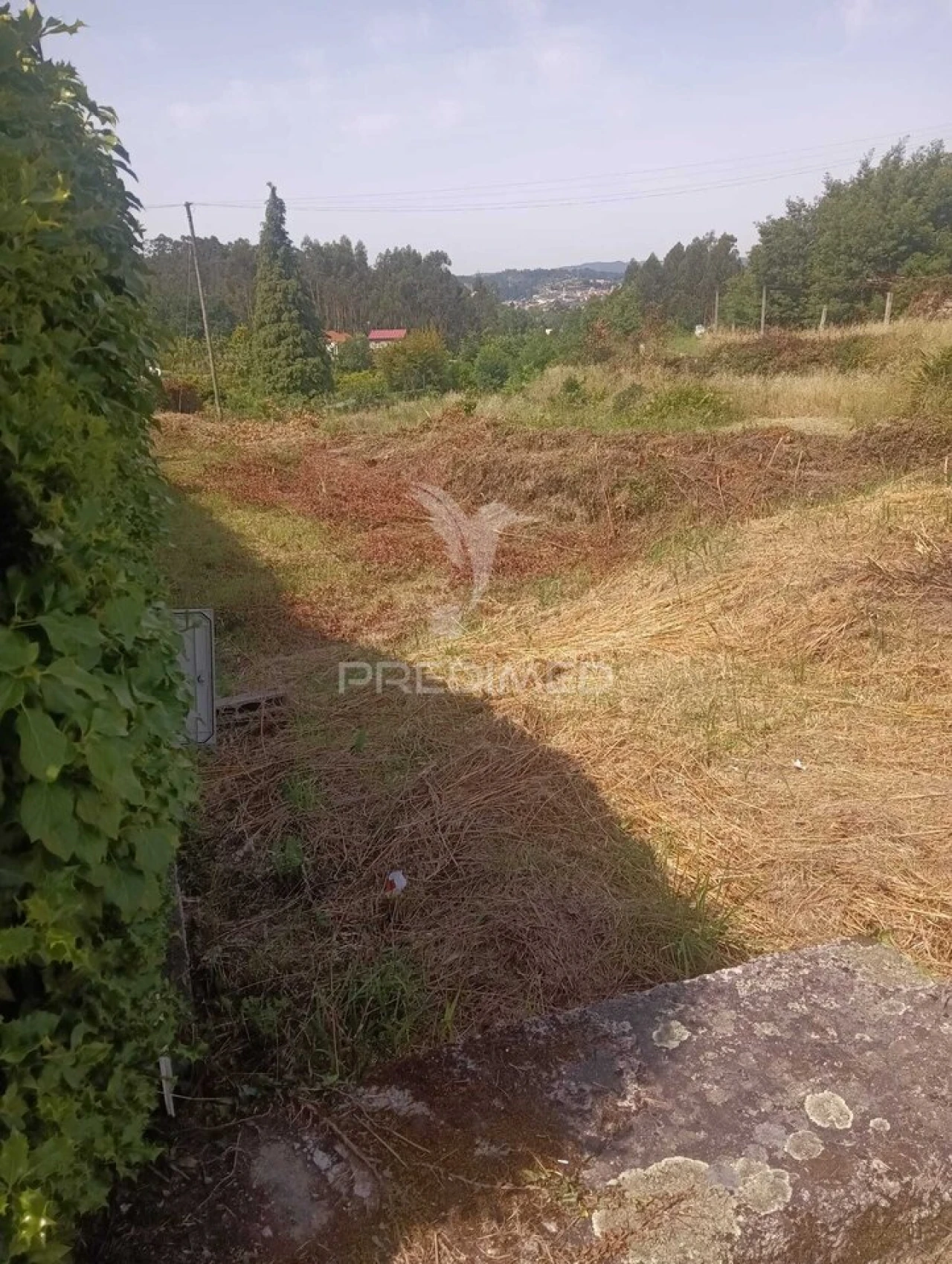 Moradia T3 para Venda em Quinchães Foto 6